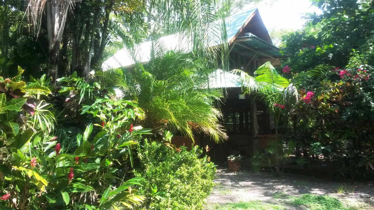 Casa Mymy Hostel Playa Negra ภายนอก รูปภาพ